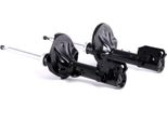Ridex 854S2040 - Ammortizzatore Oe 553512E501, Asse Posteriore Per Tucson (Jm), Sportage (Je, Km)