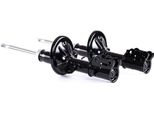 Ridex 854S1926 - Ammortizzatore Oe 54650 1C300, Asse Anteriore Per Getz (Tb)