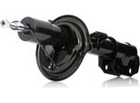 Ridex 854S1224 - Ammortizzatore Oe 71747048 Per Sedici