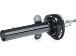 Ridex 854S0833 - Oe 1X43 18045 Ag Ammortizzatore, Asse Anteriore Per X-Type (X400)