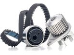 Ridex 3096W0018 - Oe 0816 56 Pompa Dell'acqua + Zahnriemensatz Per Berlingo, Saxo, Zx (N2), 106 Ii, 206 (2A/C), 206 Sw (2E/K), 206 Van, 306, Partner (5, G)
