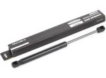 Ridex 514G0103 - Ammortizzatore Del Cofano Motore Oe 6H5216C826BD Per Freelander 2 (L359)