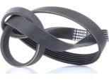 Bosch 1 987 947 885 Cinghia Trapezoidale Dentata Oe 9811109580 Compatibile Con Yaris, Verso, Rav 4, Corolla, Avensis, Auris, Safrane, Traveller, Expert, 508, 5008, 3008, Xg, Punto, Spacetourer, Jumpy, C5