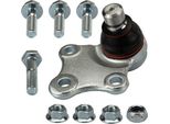 Trw JBJ707 - Oe 3640 51 Giunto Sferico Inferiore Anteriore Per Xsara, Berlingo, Partner (5, G)