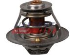 Fast FT58032 - Oe 4750024 KüHlwasserthermostat FüR Movano (X70)
