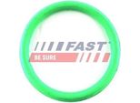 Fast FT49434 - Guarnizione Collettore Di Aspirazione Oe 0342 E0 Per Berlingo, C2 (Jm), C2 Enterprise (Jg), C3 I (Fc, Fn), C3 Ii (Sc), C3 Pluriel (Hb), Nemo, Saxo, Xsara, Zx (N2), Fiorino, Qubo, 307, 307 Sw (3H), 1007 (Km), 106 Ii, 206 (2A/C), 206 (2E/K), 206 Sw (2E/K), 206 Van, 206+, 207 (Wa, Wc), 207 Sw (Wk), 306, Bipper (Aa), Bipper Tepee, Partner (5, G), Partner Origin (G)