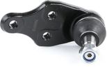 Stark SKSL-0260245 - Cinghia Di Trasmissione Oe Rbj 500680 Per Freelander (L314)