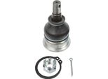 LemfÖRder 29904 01 - Traggelenk Oe 3521 L3, Vorne Unten Per C1 (Pm, Pn), Yaris Verso (P2), Yaris (P9), Yaris (P1), Aygo (B1)