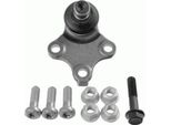 LemfÖRder 25534 02 - Oe 3640 51 Giunto Sferico Inferiore Anteriore Per Berlingo, Xsara, Partner (5, G)