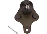 Maxgear 72-3124 - Oe 43330 49095 Giunto Sferico Inferiore Anteriore Per Nx (Z1), Ux (AA1, AH1, MA1), Auris (E15), Auris (E18), Camry (V7), Corolla (E15), Corolla (E18), Previa Iii (R2, R5), Prius Plus (W4), Rav 4 Iii (A3), Rav 4 Iv (A4), Verso (R2)