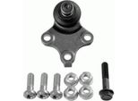 LemfÖRder 26047 02 - Oe 3640 50 Giunto Sferico Anteriore Inferiore Per Berlingo, Xsara, Partner (5, G)