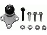 LemfÖRder 22339 04 - Oe 3640 43 Giunto Sferico Anteriore Inferiore Per Zx (N2), Xsara, Berlingo, Partner (5, G)