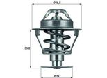 Mahle Tx 81 89D - Termostato Liquido Di Raffreddamento Oe 1338 21 Per Zx (N2), Xsara, Saxo, 106 Ii
