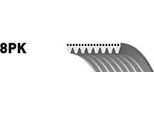 Gates 8PK1310XS - Cinghia Oe R2AA 15 909A Con Nervatura A V Per 3 (Bl), 6 (G)