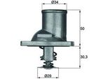 Mahle Ti 1 92 - Oe 90 232 012 Termostato Acqua Di Raffreddamento Per Vectra B (J96), Frontera B (U99)