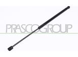 Prasco PG0099055 - Oe 8731E6 Ammortizzatore Portellone Posteriore Per 206 (2A/C)
