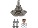 LemfÖRder 26668 01 - Oe 3640 54 Giunto Di Supporto, Anteriore Inferiore Per Jumper, Ducato, Boxer