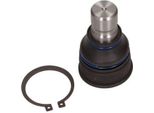 Maxgear 72-2974 - Giunto Sferico Anteriore EG21 34 300D Oe Per CX-7 (Er)