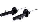 Ridex 854S0805 - Ammortizzatore Oe 5202 Gw, Asse Anteriore Per C3 Pluriel (Hb), C3 I (Fc, Fn), C2 Enterprise (Jg), C2 (Jm), 1007 (Km)