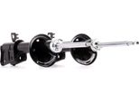 Ridex 854S1767 - Ammortizzatore Oe RPD102180, Asse Posteriore Per Freelander (L314)