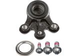 LemfÖRder 35327 01 - Oe 3640 69 Giunto Sferico Inferiore Anteriore Per C5 Iii (Rd), C5 Iii (Rw), C6 (Td), 407, 407 Sw (6D, 6E), 508 (8D), 508 (8E)