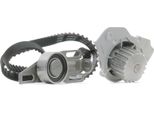 Ridex 3096W0194 - Set Pompa Acqua + Cinghia Di Distribuzione Oe 0816 67 Per Zx (N2)