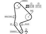 Gates 5558XS - Oe 0816 A6 Cinghia Dentata Per C5 I (Dc), C5 I (De), C5 Ii (Rc), C5 Ii (Re), C5 (De), C8 (Ea, Eb), Ulysse, 406, 607 (9D, 9U), 807 (Eb)