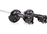 Ridex 854S2576 - Oe 55351 2D000 Ammortizzatore, Asse Posteriore Per Elantra (Xd)