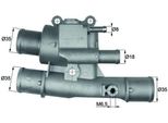 Mahle Ti 123 88 - Termostato Acqua Di Raffreddamento Oe 46522664 Per Palio, Siena, Stilo, Brava, Bravo, Doblo, Marea, Multipla
