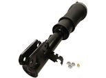Maxgear 11-0805 - Puntone Sospensione Pneumatica Oe LR012885, Anteriore Sinistro Per Range Rover Iii (L322)