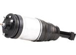 Stark SKAST-1860015 - Oe LR014195 Puntone Della Sospensione Pneumatica, Posteriore Per Discovery Iii (L319), Discovery Iv (L319), Range Rover Sport (L320)