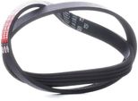 Gates 4PK698 Cinghia Trapezoidale Dentata Oe 5750G8 Compatibile Con 309, 205, Galant, Eclipse, Lanc Y, Strada, Siena, Punto, Palio, Marea, Doblo, Bravo, Brava, Zx, C15