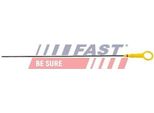 Fast FT80311 - Asta Olio Oe 8200463366 Per Duster, Logan, Micra Iii (K12), Clio Ii, Clio Iii, Kangoo (Kc), Kangoo (Kw), Kangoo (Fc), Megane Ii, Scenic Ii, Twingo Ii (CN0)