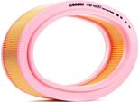 Bosch 1 457 433 311 - Oe 60 01 543 789 Filtro Aria Per Logan, Sandero, Clio Ii, Kangoo (Kc), Kangoo (Fc), Logan I, Megane I, Thalia I (Lb), Thalia Ii (Lu)