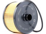 Bosch F 026 407 231 Filtro Olio Oe 152095084R Compatibile Con Cla, Citan, Classe B, Classe A, Sandero, Logan, Lodgy, Duster, Dokker, Captur, Arkana, X-Trail, Qashqai, Pulsar, Micra, Juke, Glb, Gla, Clio, Scenic, Kangoo, Kadjar, Fortwo, Forfour, Twingo, Thalia, Talisman, Taliant, Megane, Koleos