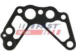 Fast FT49907 - Oe 1022 15 Guarnizione, Pompa Olio Per Jumper, Ducato, Boxer
