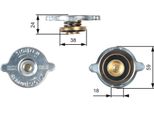 Gates RC125 - Tappo Radiatore Oe 5016215 Per Sprinter (W904), Sprinter (W905), Sprinter (W903), Sprinter (W901, W902)