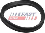 Fast FT12192 - Oe 5035 40 Dichtung, FederbeinstüTzlager Per Jumper, Ducato, Boxer