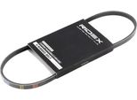 Ridex 305P0003 - Keilrippenriemen Oe 8200830182 Per Logan, Sandero, Clio Ii, Kangoo (Kc), Kangoo (Fc), Thalia I (Lb), Thalia Ii (Lu), Twingo I (C06), Twingo I (S06)