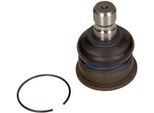 Maxgear 72-3160 - Oe 93193130 Traggelenk, Vorne FüR Agila B