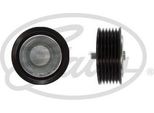 Gates T36784 - Puleggia Folle Oe 2722022019, Cinghia Multipla Con Nervatura A V Per Classe S (W221)