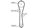 Gates 5577XS Cinghia Dentata Oe 8200106085 Compatibile Con Wind, Twingo, Thalia, Modus, Logan, Kangoo, Clio, Kubistar, Sandero