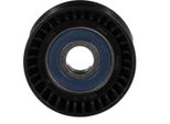 Gates T36396 - Puleggia Folle Oe 504000412, Cinghia Multipla Con Nervatura A V Per Ducato