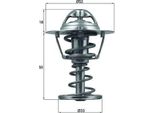Mahle Tx 126 82D - Termostato Acqua Di Raffreddamento Oe 1338E8 Per C1 (Pm, Pn), C1 Ii (Pa, Ps), 108, Yaris (P13)