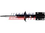 Fast FT11009 - Ammortizzatore Oe 5202 J0, Asse Anteriore Per Jumper, Ducato, Boxer