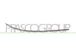 Prasco ME3261227 - Oe A1698851621 Modanatura, Paraurti Anteriore Destro Per Classe A (W169)