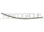 Prasco ME4241227 - Oe A2468850521 Modanatura, Paraurti Anteriore Destro Per Classe B (W246)