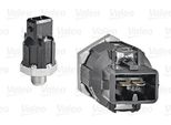 Valeo 255400 Sensore Di Detonazione Oe 8200680689 Compatibile Con Dokker, Duster, Lodgy, Logan, Sandero, Avantime, Clio, Espace, Fluence, Scenic, Kangoo, Laguna, Megane, Modus, Safrane, Thalia, Trafic, Twingo, Vel Satis, Wind