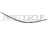 Prasco ME6421244 - Oe A2098850921 Modanatura, Paraurti, Sinistra Per Clk (C209)