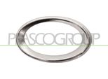 Prasco ME0411245 - Oe A2118851074 Telaio, Fendinebbia Destro Per Classe E (W211), Classe E (S211)